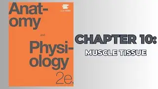 OpenStax Anatomy and Physiology 2e (Audiobook) - Chapter 10: Muscle Tissue