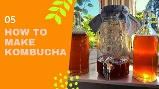 How to make KOMBUCHA // Easy Method
