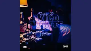 WILD NIGHTS