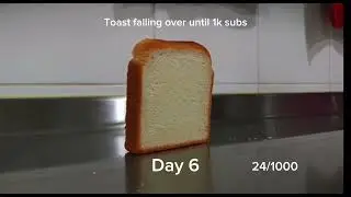 Toast falling over until 1k day 6