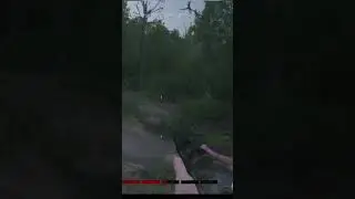 #huntshowdown Загнала  Зайца #hunt #shorts