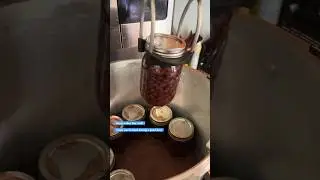 FREE bean puns y&rsquo;all! 🫘 #canning #homesteading #foodpreservation