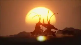 🔥 The Great Sage, Broken Shell | Wukong&rsquo;s Most Insane Moment 🔥