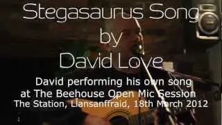 Stegosaurus Song - David Love at the Beehouse Open Mic, The Station, Llansanffraid