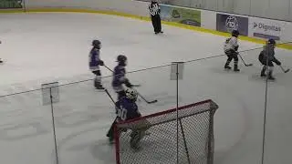 EMHL 2026.01.10. Hodonin Blue - UTE 1.meccs 1. r&eacute;sz