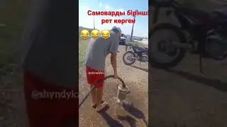 Самовар прикол