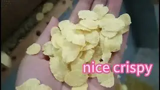 Breakfast cereals and corn flakes processing line  2