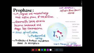 Full video# Cell division parts  2# CEE prepare||  Full concept