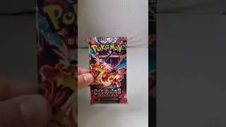 Giorno 4 in cui creo la mia Collezione Pokemon