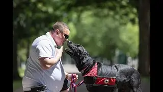 Life-Changing Companions: 4 Paws for Ability and DOG iD