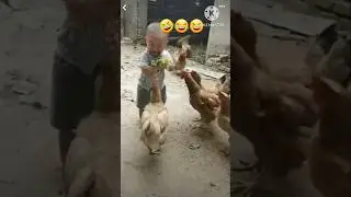 Funny video ||Kundana's world #shorts #trending #viral #baby #chicken #redpanda #pig #big
