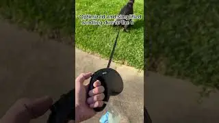 Automatic Leash Flexi Review: The Best Dog Leash for Hands-Free Walks