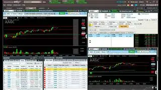 April 5, 2021 Afternoon Chopped $ENZC $AAGC