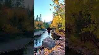 Fall in California looks like this. Shot in June Lake up in the Eastern Sierras October 12 last year
