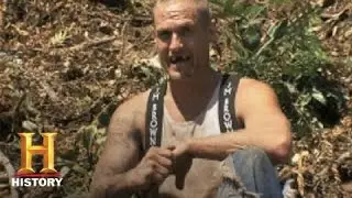 Ax Men: Bees | History