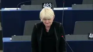Marian Harkin 25 Oct 2016 plenary speech on Corporate taxation package