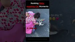 Ranking Baby meeting cat Moments