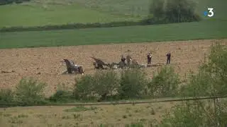Bouilh-Devant : Crash h&eacute;licopt&egrave;re Cougar du 5e R&eacute;giment d&rsquo;h&eacute;licopt&egrave;res de combat (RHC) de Pau.