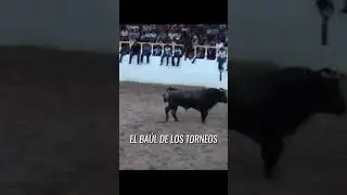 EL 153 De Rancho Don Chencho  &iexcl;&iexcl;SUSCRIBANSE!!  #toros #viral #torneo_de_lazo