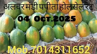  अलवर मंडी पपीता होलसेल रेट ! Papaya rates in Alwar mandi #papaya #rate #today #alwar  #fruit #mandi