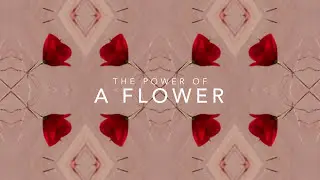 FLOWER BY KENZO - THE POWER OF A FLOWER