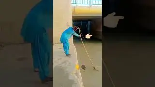 Desi hunting fishing shortfarm fastvideo subscribe toYouTube my channel technical #shootingindustry