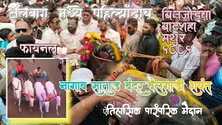 नागाव साताड बंदर बैलगाडी शर्यत🔥 अलिबाग मध्ये पहिल्यांदाच मथुर 1001👑 Satad Bailgadi Sharyat💖