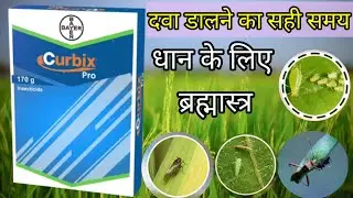 curbix pro insecticide || ethiprole + pymetrozine || curbix pro bayer || curbix pro bayer price