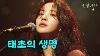 🎵태초의 생명🌙인생 시리즈 Ep1. 인생가가(내 인생의 가장 행복한 가사)