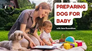 Dog Behavior- Preparing Dog For Baby