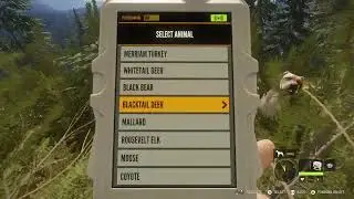 Running And Gunning On The hunter call of the wild