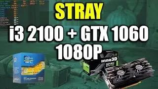 Stray - i3 2100 + GTX 1060 | 1080p