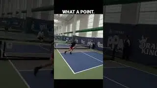 This is Professional Pickleball Singles - Christian Alshon
