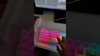Bw kb1 keys not working