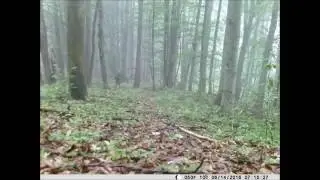 Fotopasca Welltar 7310 MC 940nm - časozber - dva dni pokoja (HD)