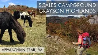 Scales Campground &ndash; Wise Shelter &ndash; Grayson Highlands State Park &ndash; Appalachian Trail VA