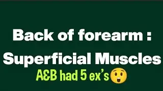 Back of forearm|Superficial Muscles| Easy mnemonic|Anatomy made simple👍🏻