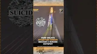 Why Delhi's Signature Bridge Is Raising Serious Safety Concerns | Sneha Debnath Case Explained