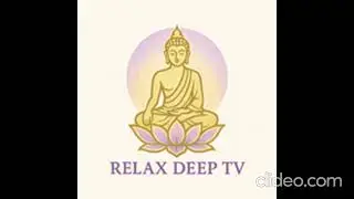 Rain Sanctuary: Pure Rain Sounds for Deep Relaxation & Sleep