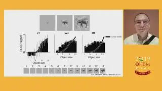 OHBM 2019 | Oral Sessions | The Temporal Dynamics of Neuronal Responses in Human Visual Cortex