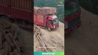 WILL IT TIP OVER?! Logging Truck on INSANE Cliff Edge Road! This is TERRIFYING! #dangerous #fail