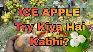 बिहार का सुपरहिट फल &mdash; Ice Apple 🍈❄️ | Try किया है कभी?😋🌴#IceApple #BiharSpecial #TaadGola #nungu