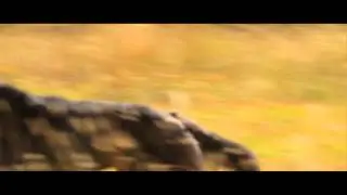 Druid Peak [Trailer] - Florida Film Festival 2014