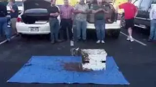 Catching Bee Swarms-4