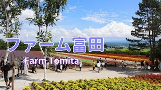 ファーム富田 2025年8月11日 [4K] Farm Tomita #北海道  #富良野 #ラベンダー #japan #hokkaido #furano #lavender #旅行 #travel