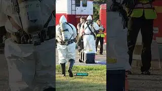 ProRemedy SWFL Your Mold Inspection Heroes! #shorts  #moldinspection