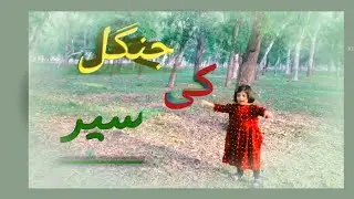 Jungle ke sair جنگل کی سیر jungle in lahore! River ravi jungle! trip of jungle