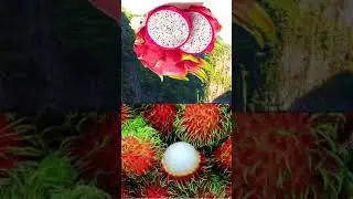 Did You Know about This Crazy Fruit!? #shorts #fruit