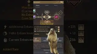 Enchancing in 2025