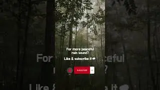 Soft Rain and Forest Stillness